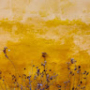 Meet your Posher, Aditi